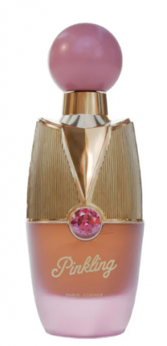 PINKLING PARIS CORNER EDP 100ML (FW)  